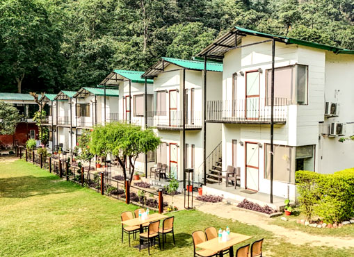 New year celebrations in Rishikesh