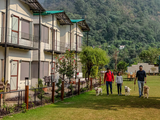 Travel Tips for Guests Bringing Pets